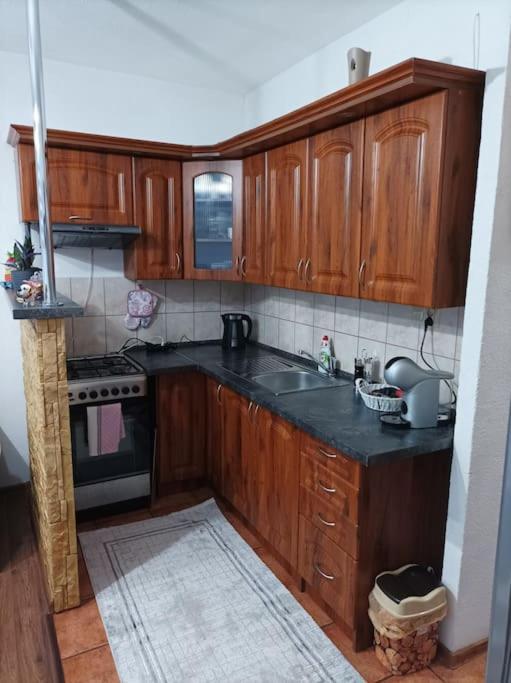 Byt V Centre Mesta Снина Экстерьер фото